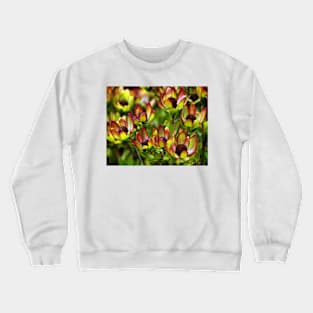 Flowers of the Fynbus, Table Mountain, South Africa Crewneck Sweatshirt